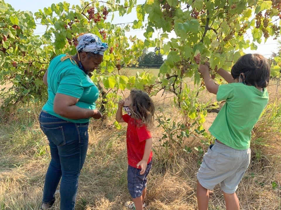 A female farmer is picking grapes with two school-aged children on her farm. The younger of the two children is facing towards the female farmer to show her that he is eating a grape.